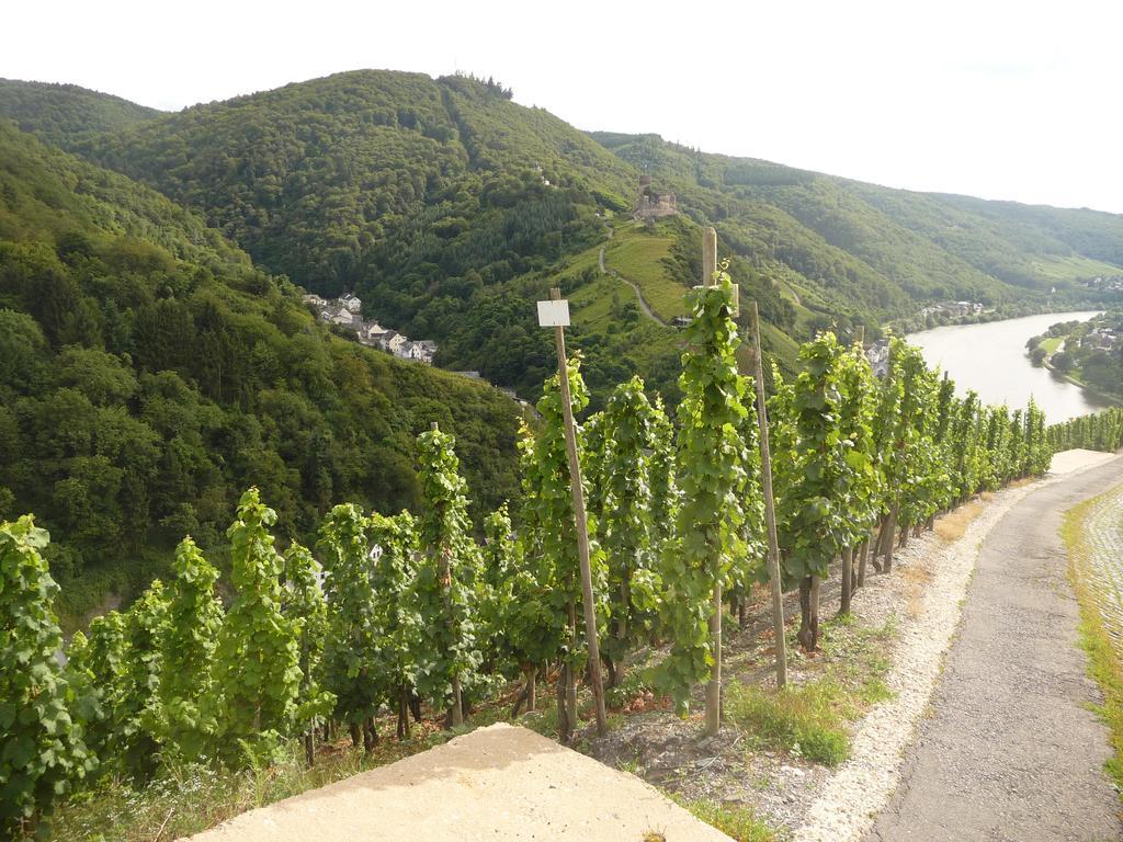 Gaestehaus Ehses Bernkastel-Kues Exterior foto